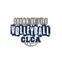 Knights Volleyball (Logo 1)