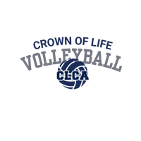 Knights Volleyball (Logo 2)
